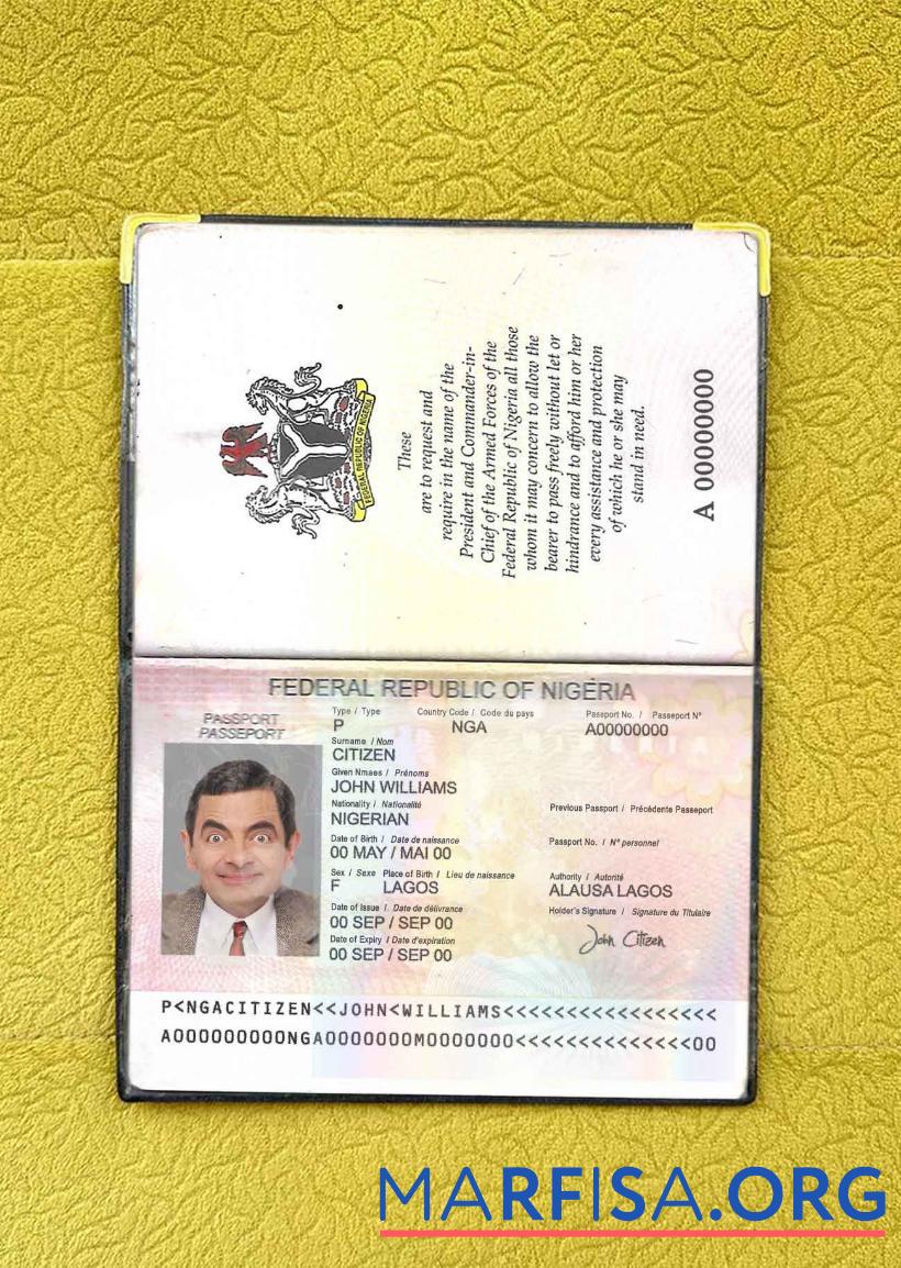 Nigeria Reisepass (2007 2019) Foto look Probe