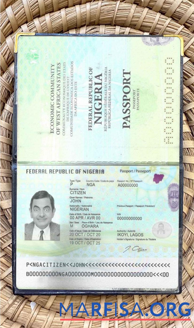 Nigeria Reisepass (2019 Gegenwärtig) Foto look Vorlage