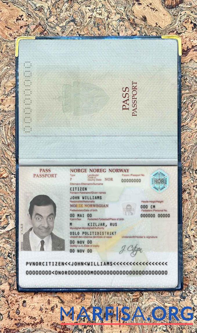 Norwegen Reisepass Foto look Mockup