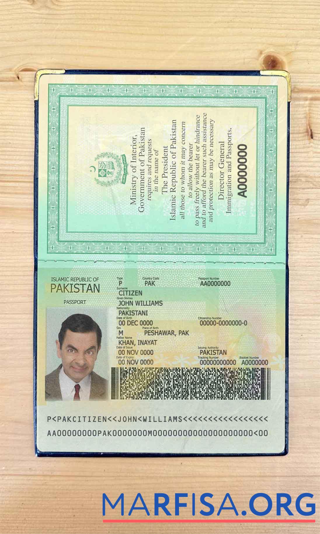 Pakistan Reisepass Foto look Design