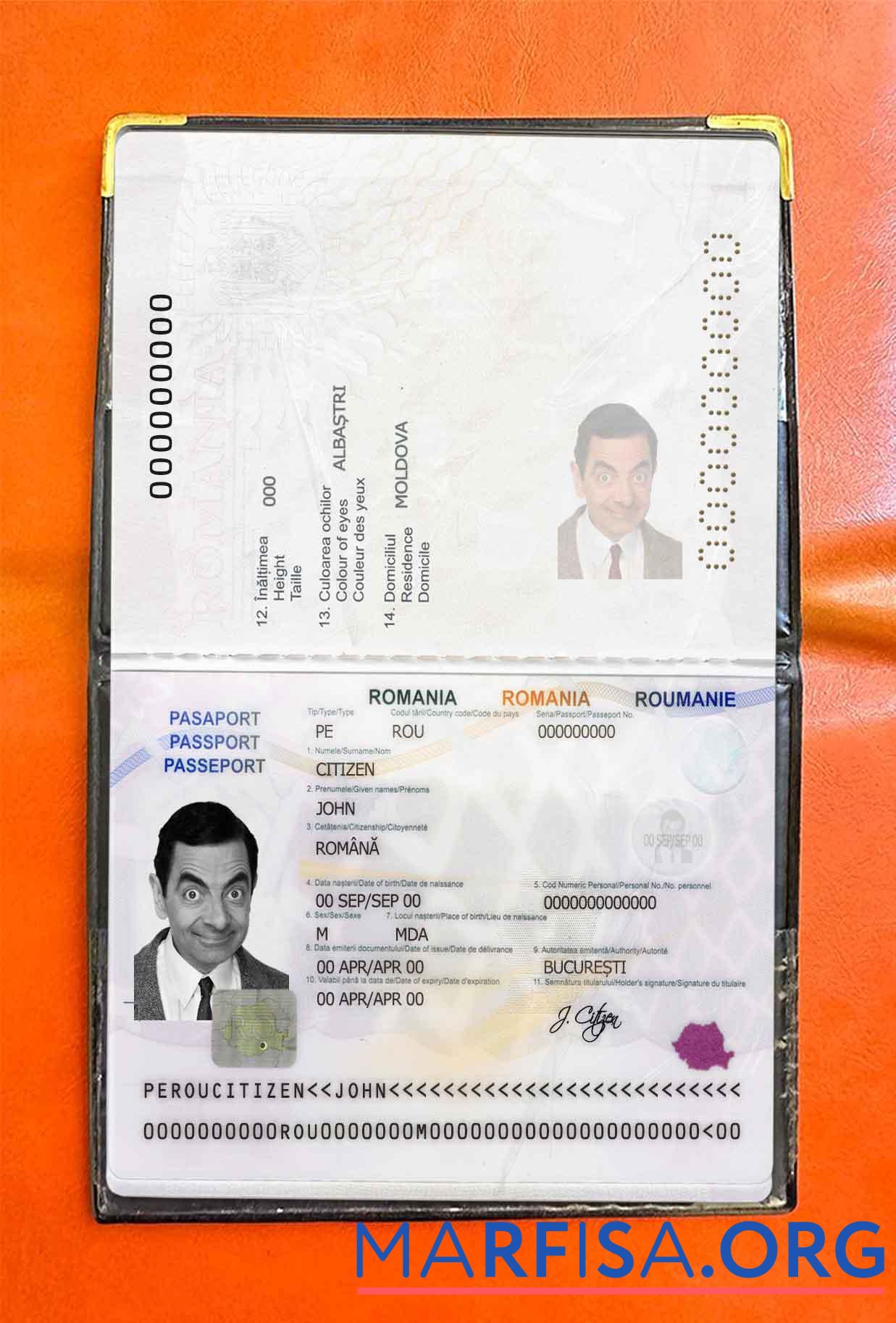 Rumänien Reisepass Foto look Design