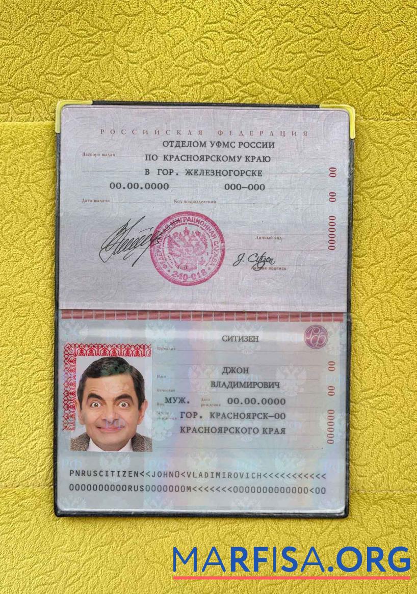 Russland Standard Reisepass Foto look Vorschau