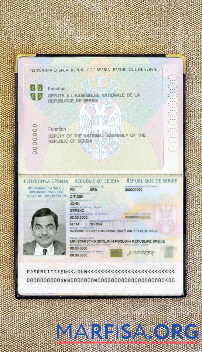 Serbien diplomatic Reisepass (2008 2016) Foto look Probe