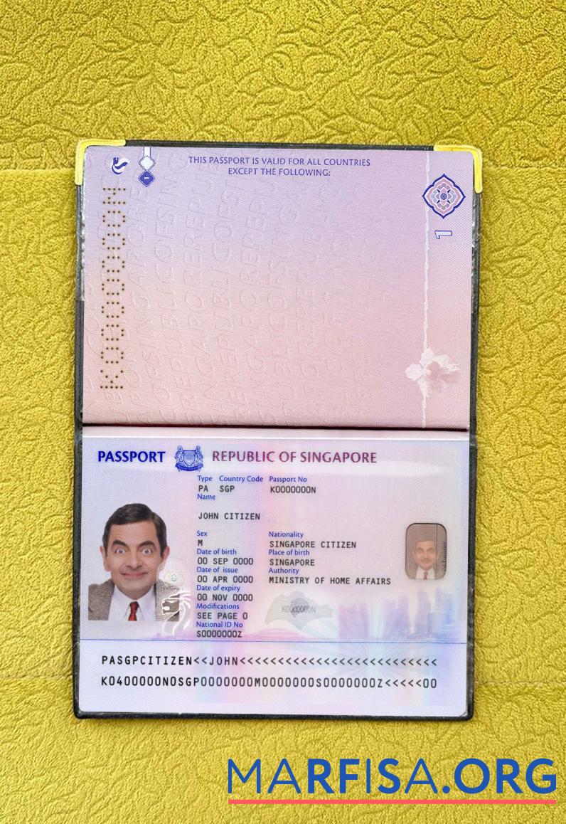 Singapur Neu Reisepass (2017+) Foto look Mockup