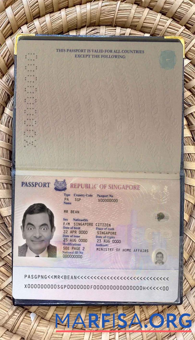 Singapur pass (2006 2017) Foto look Design