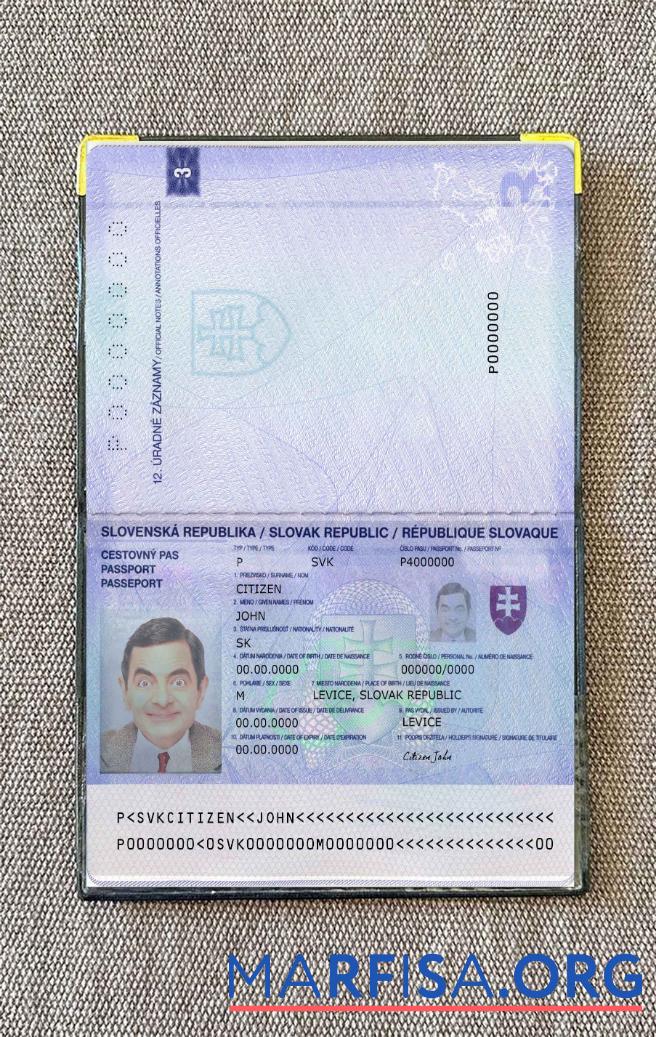 Slowakei Reisepass 2012 Foto look Mockup