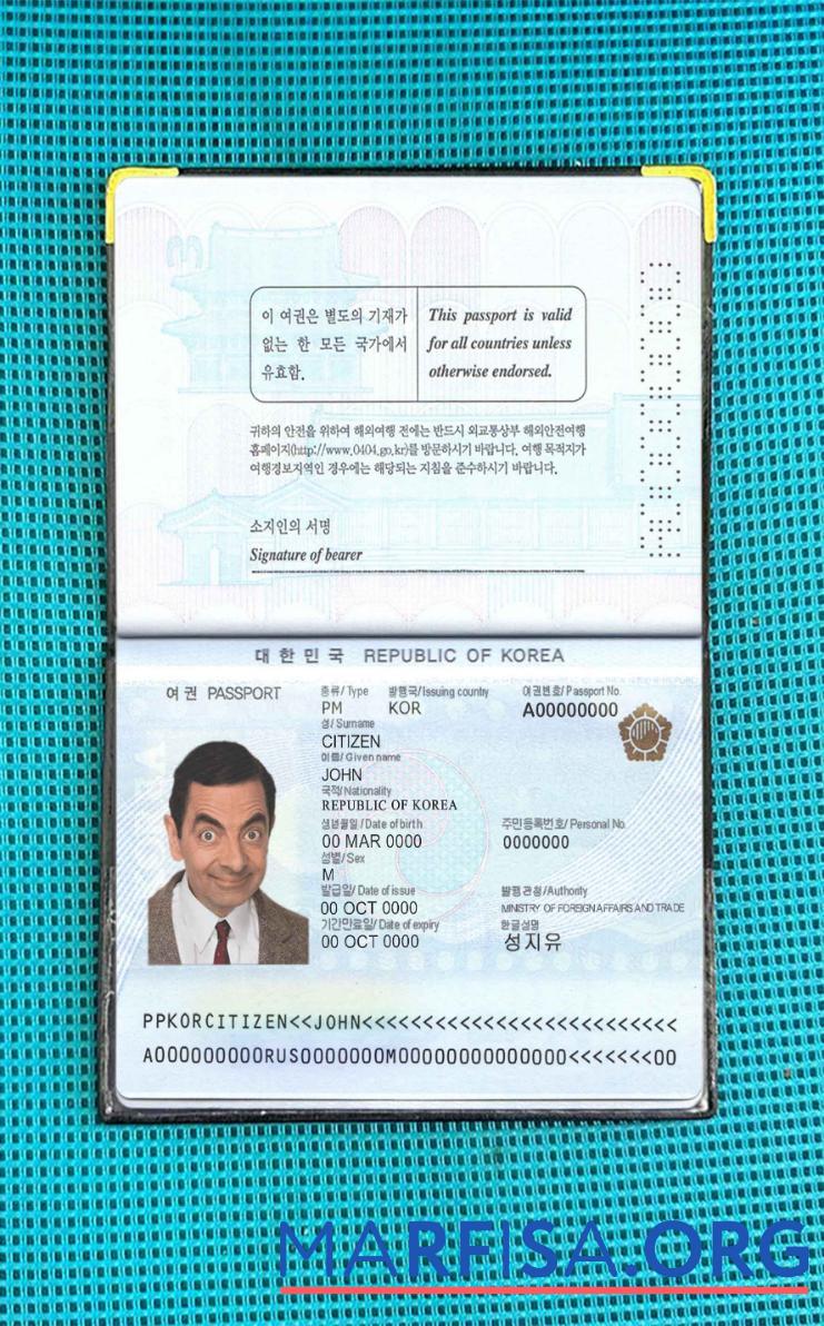 Südkorea Reisepass Foto look Mockup