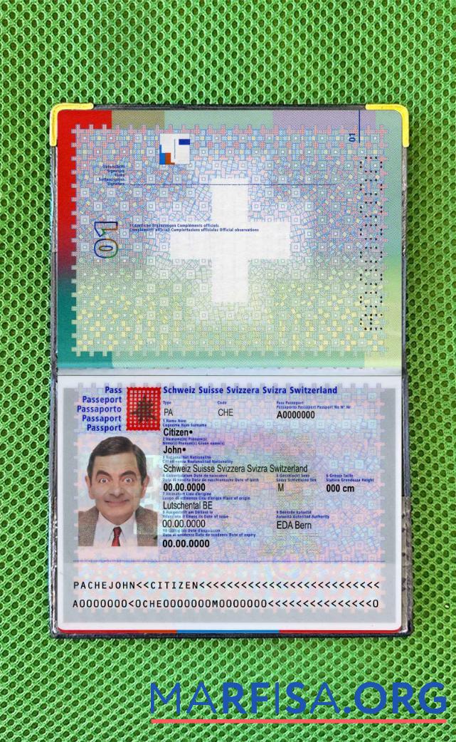 Schweiz Reisepass Foto look Probe