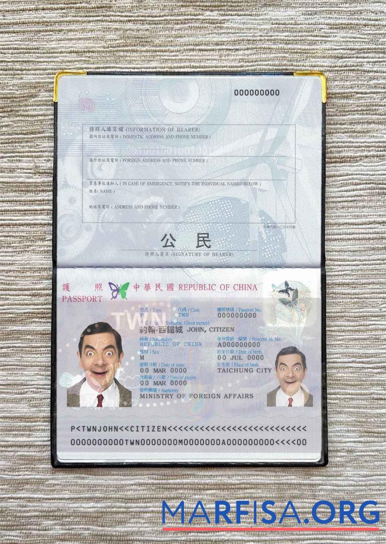 Taiwan Reisepass Foto look Design