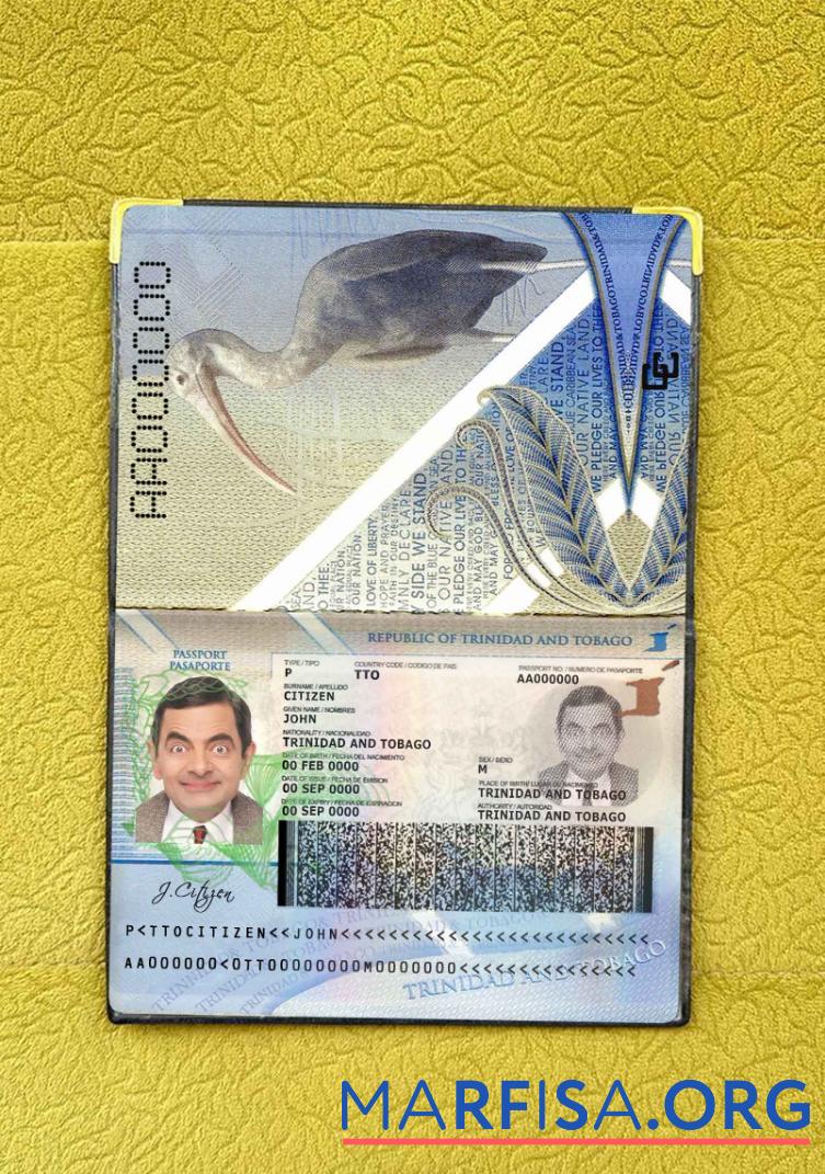 Trinidad und Tobago Reisepass Foto look Vorschau