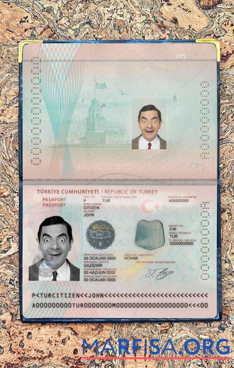 Türkei Neu Reisepass Foto look Design