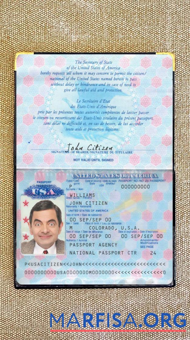 USA Reisepass pre 2007 Foto look Mockup
