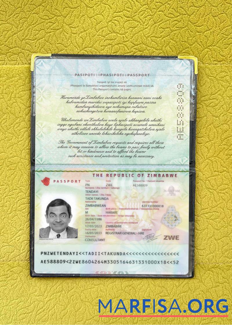 Simbabwe Reisepass 2023 Gegenwärtig Foto-Look Design
