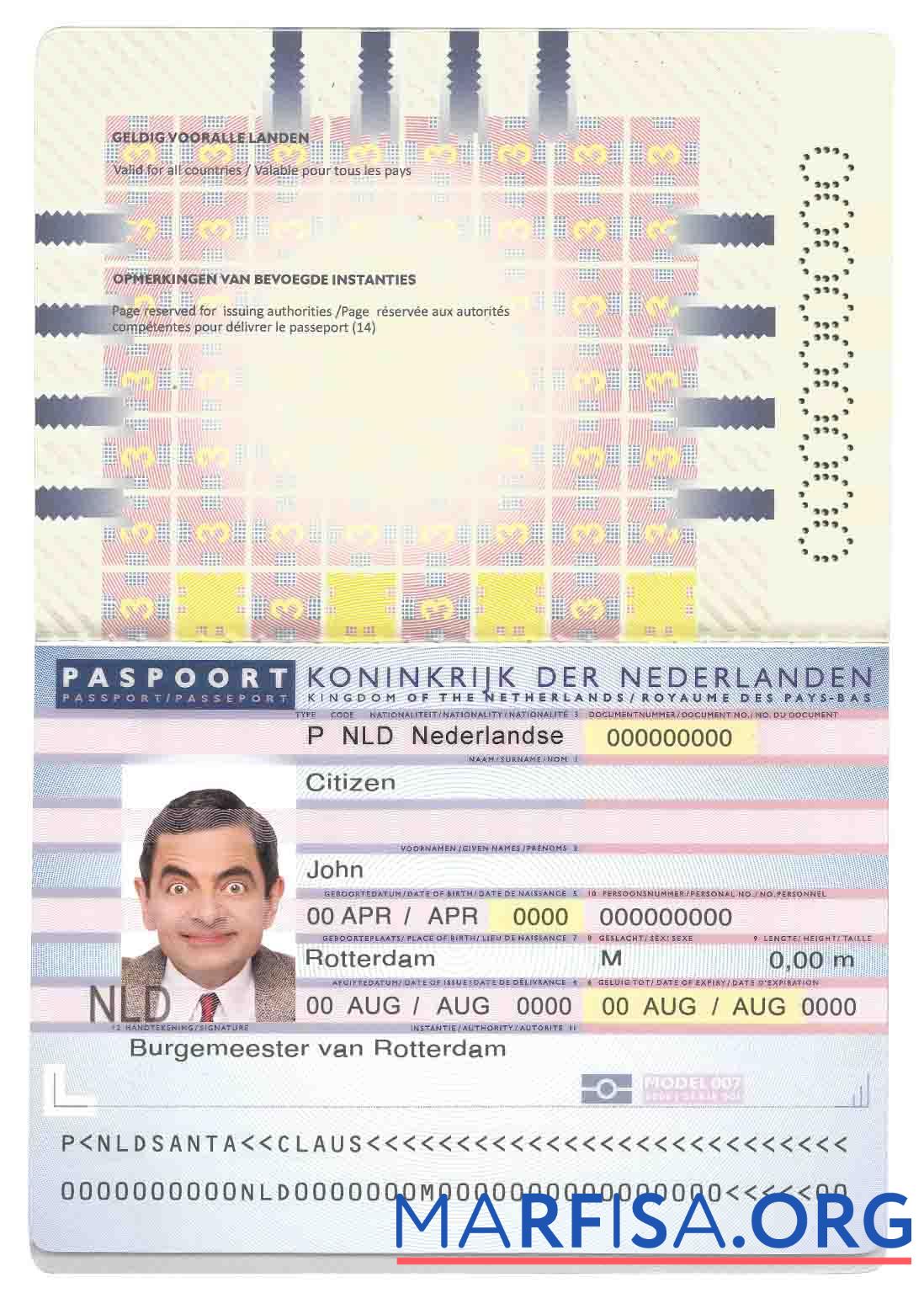 Нидерланды (Holland) Паспорт (2006 2016) макет