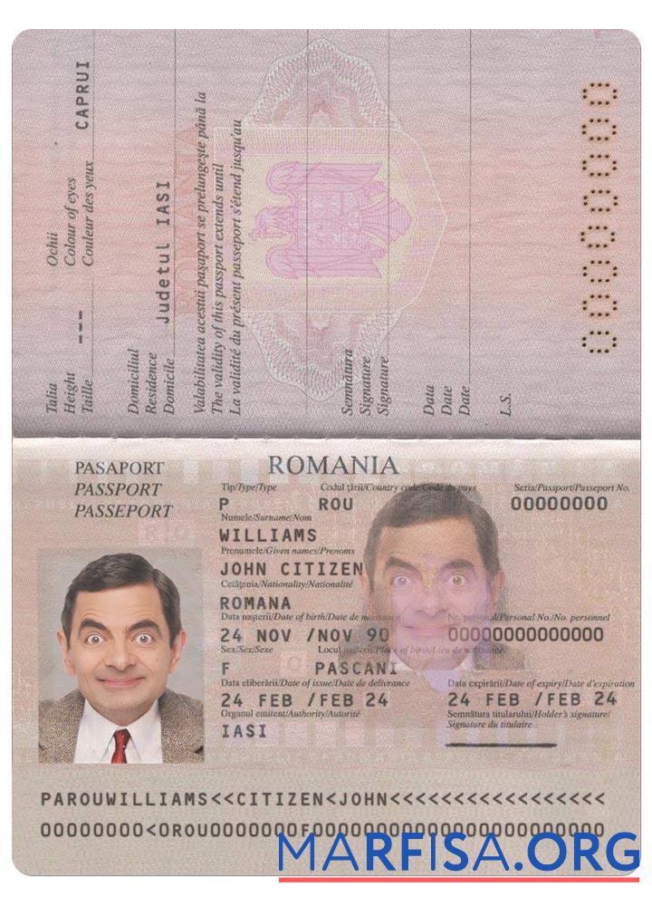 Румыния pass 2013 Настоящий шаблон