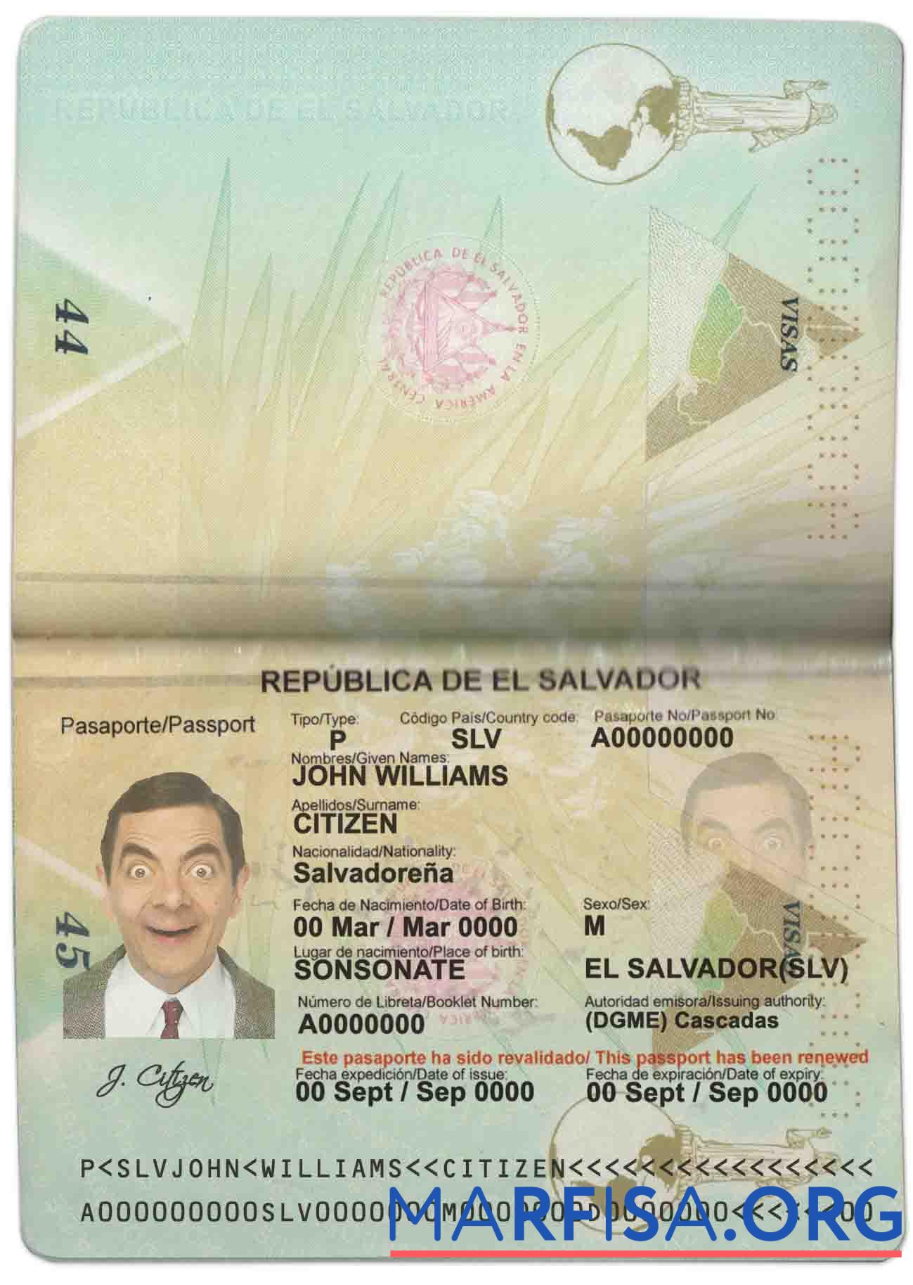 Salvador Паспорт макет