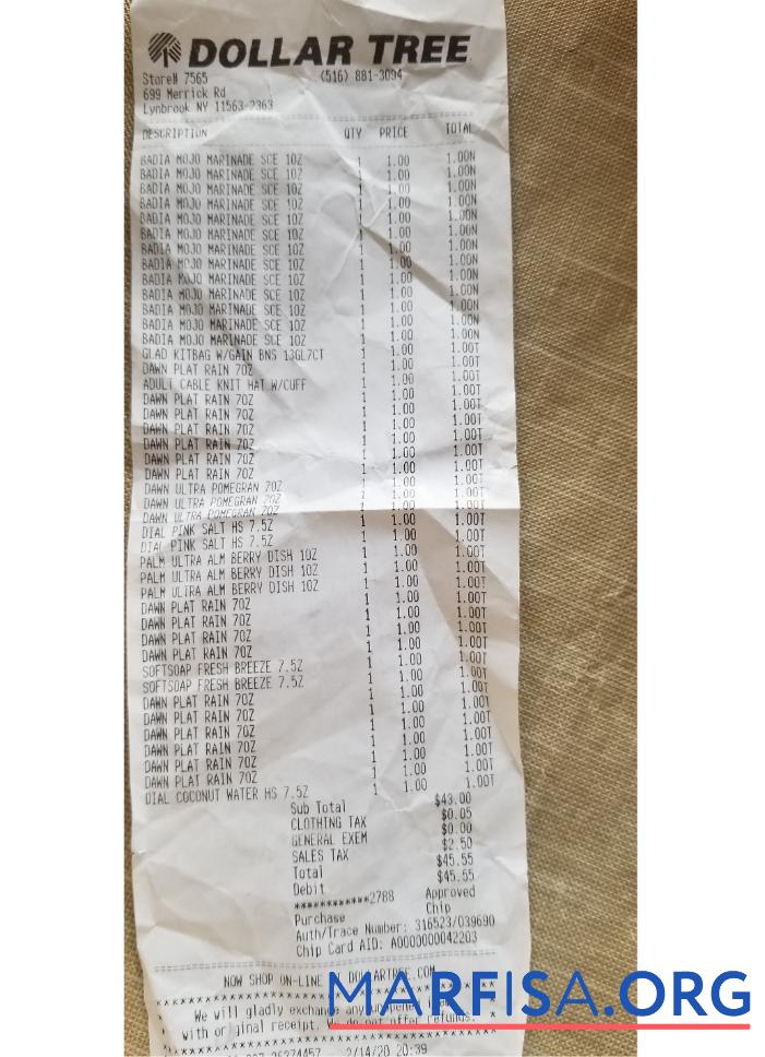 Dollar tree store check Mockup