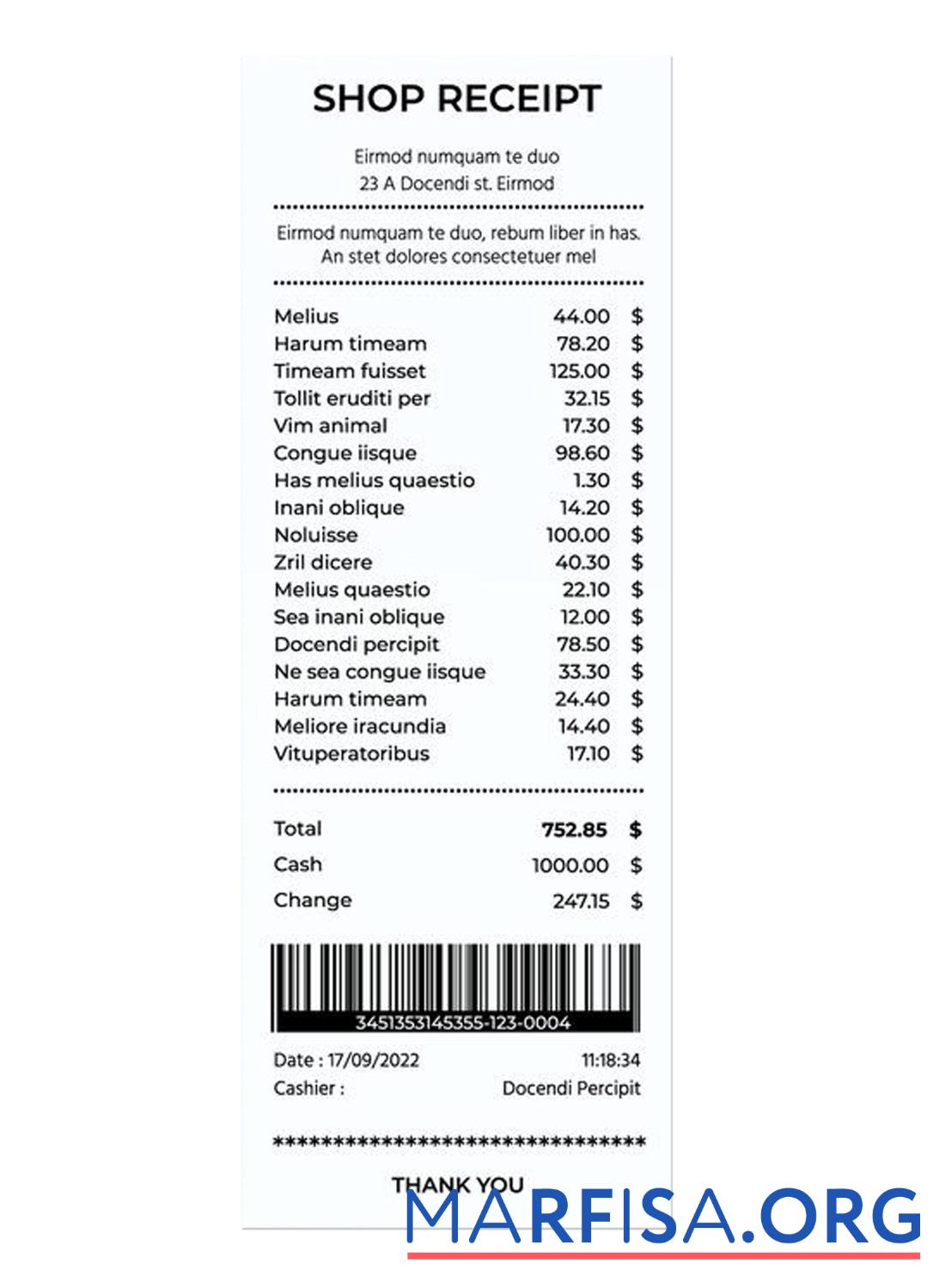 Professionell SHOP Zahlung check Vorlage