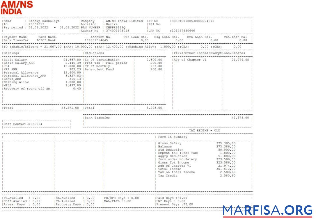 AM NS Индия Paystub макет