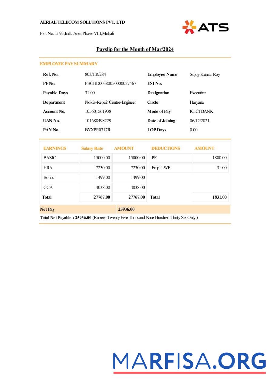 Aerial Telecom Solutions payslip шаблон