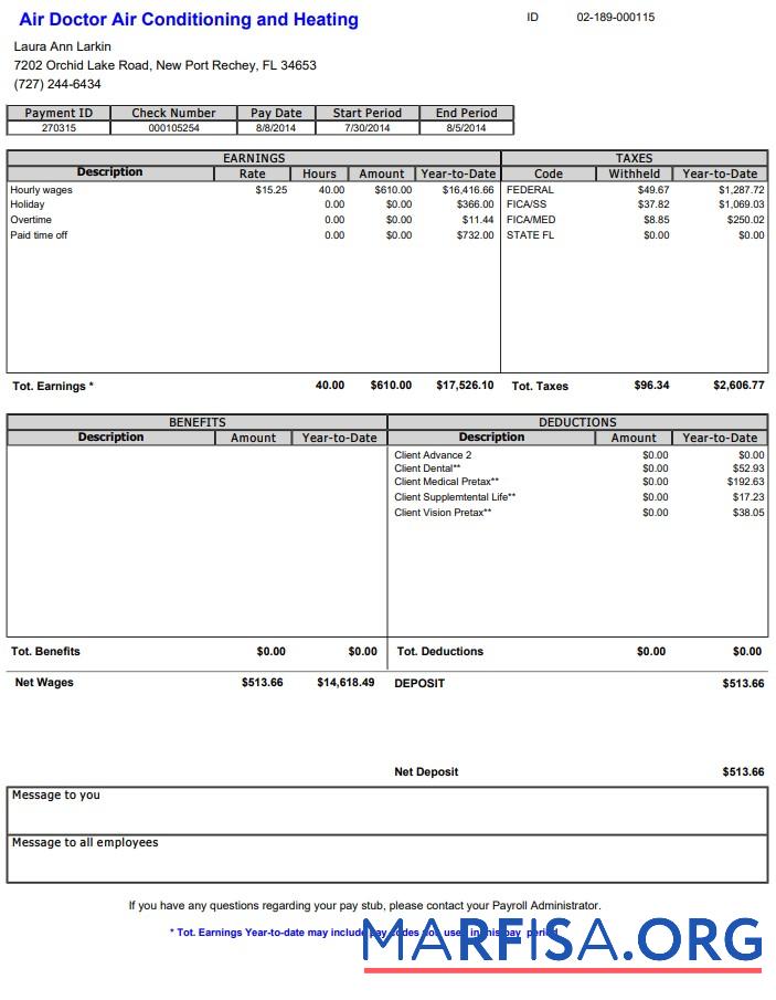 Air Doctor Paystub макет