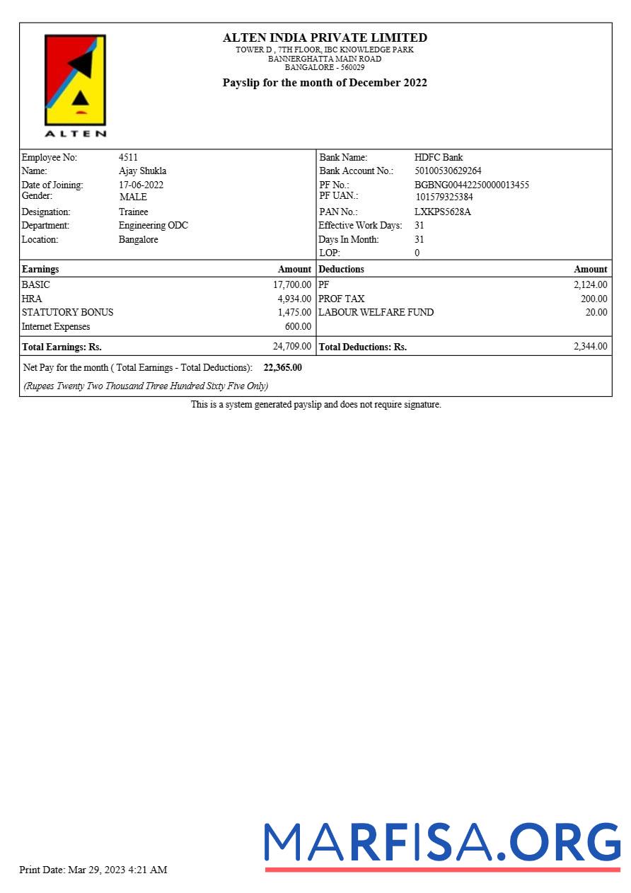 Alten Индия payslip (1) предпросмотр