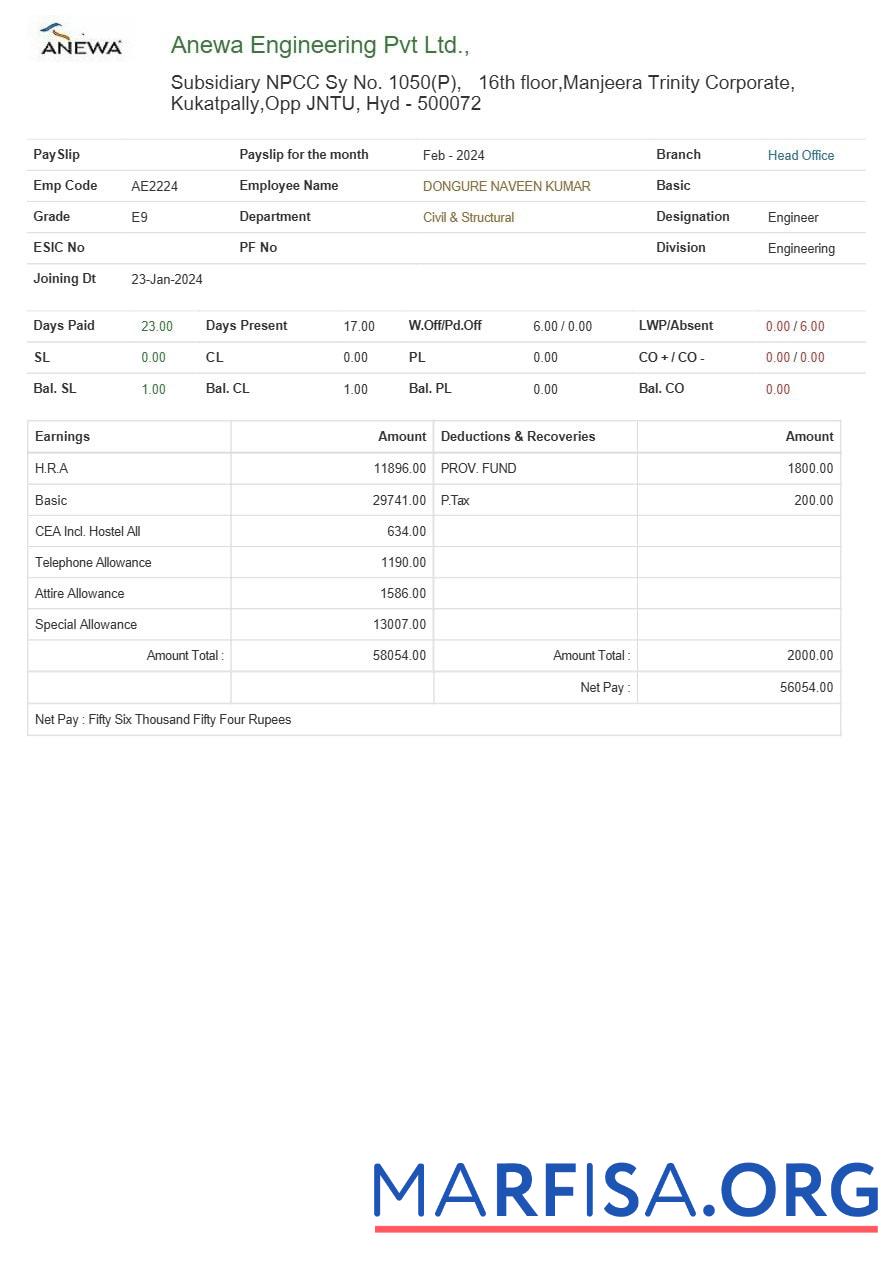 Anewa инженерия payslip образец