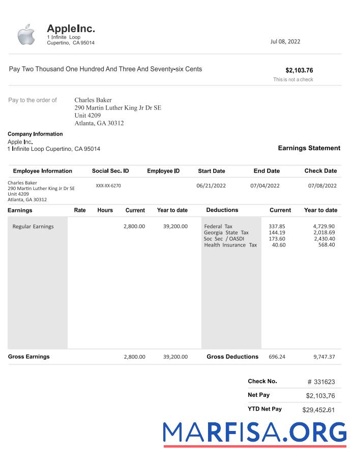 Apple inc pay stub макет