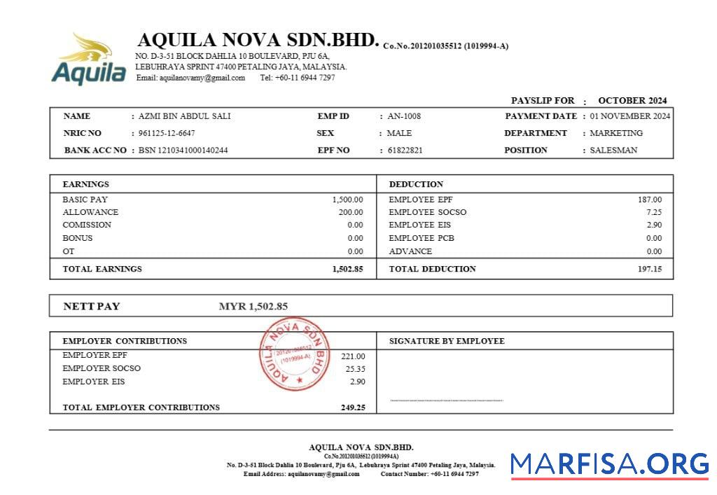 Aquila Nova consultant in Сингапур payslip дизайн