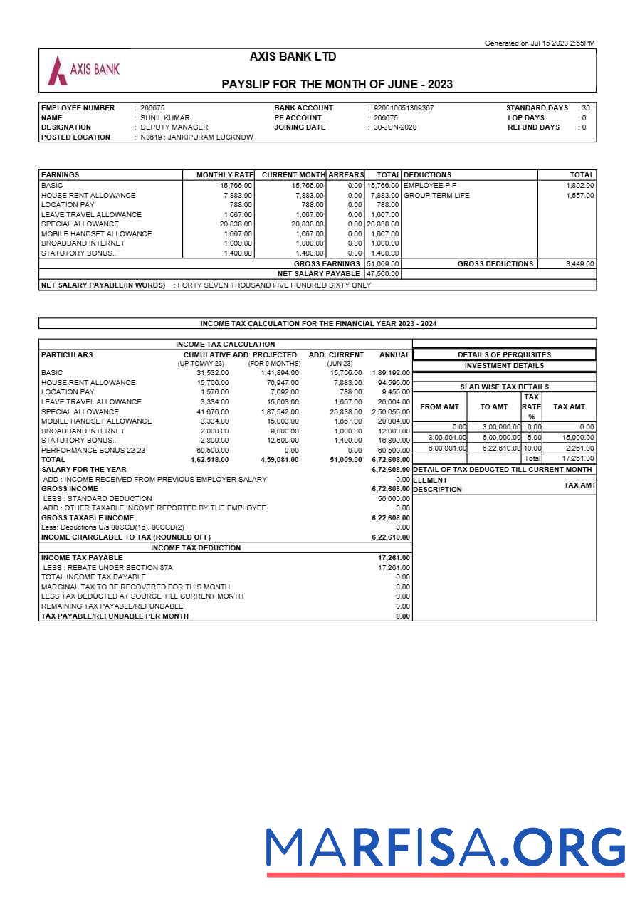 Axis Банковский payslip образец