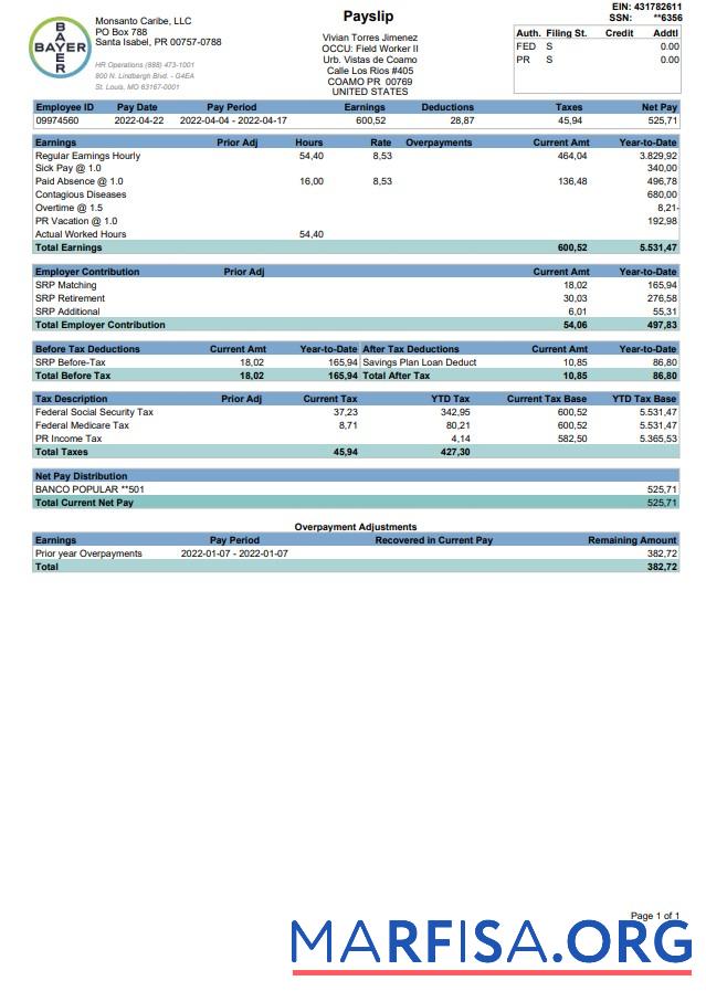 Bayer Paystub 2022 (1) предпросмотр