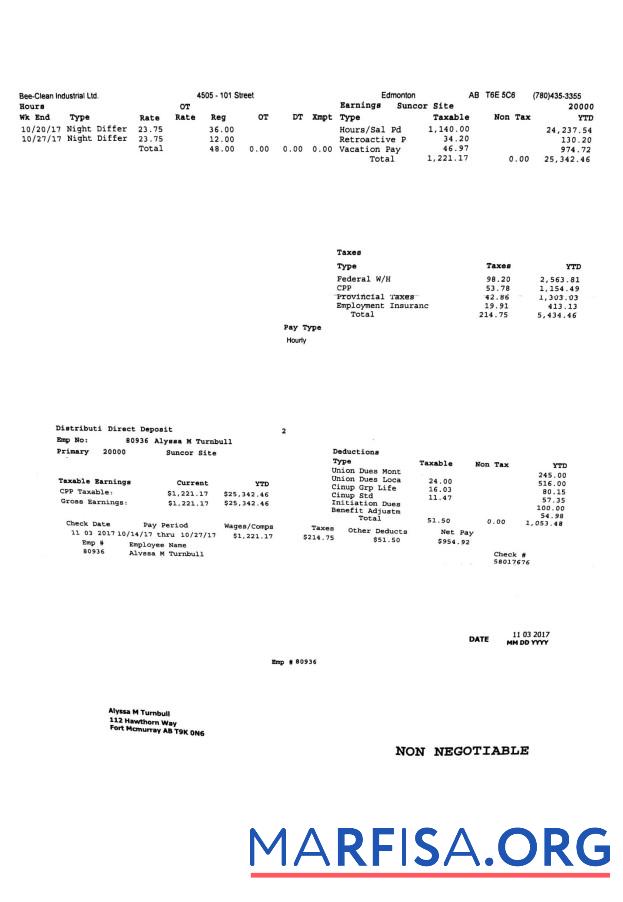 Bee Clean Industrial Ltd. PayStub дизайн