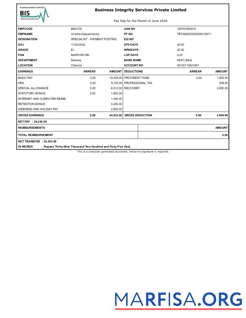 Бизнес Integrity Services payslip дизайн