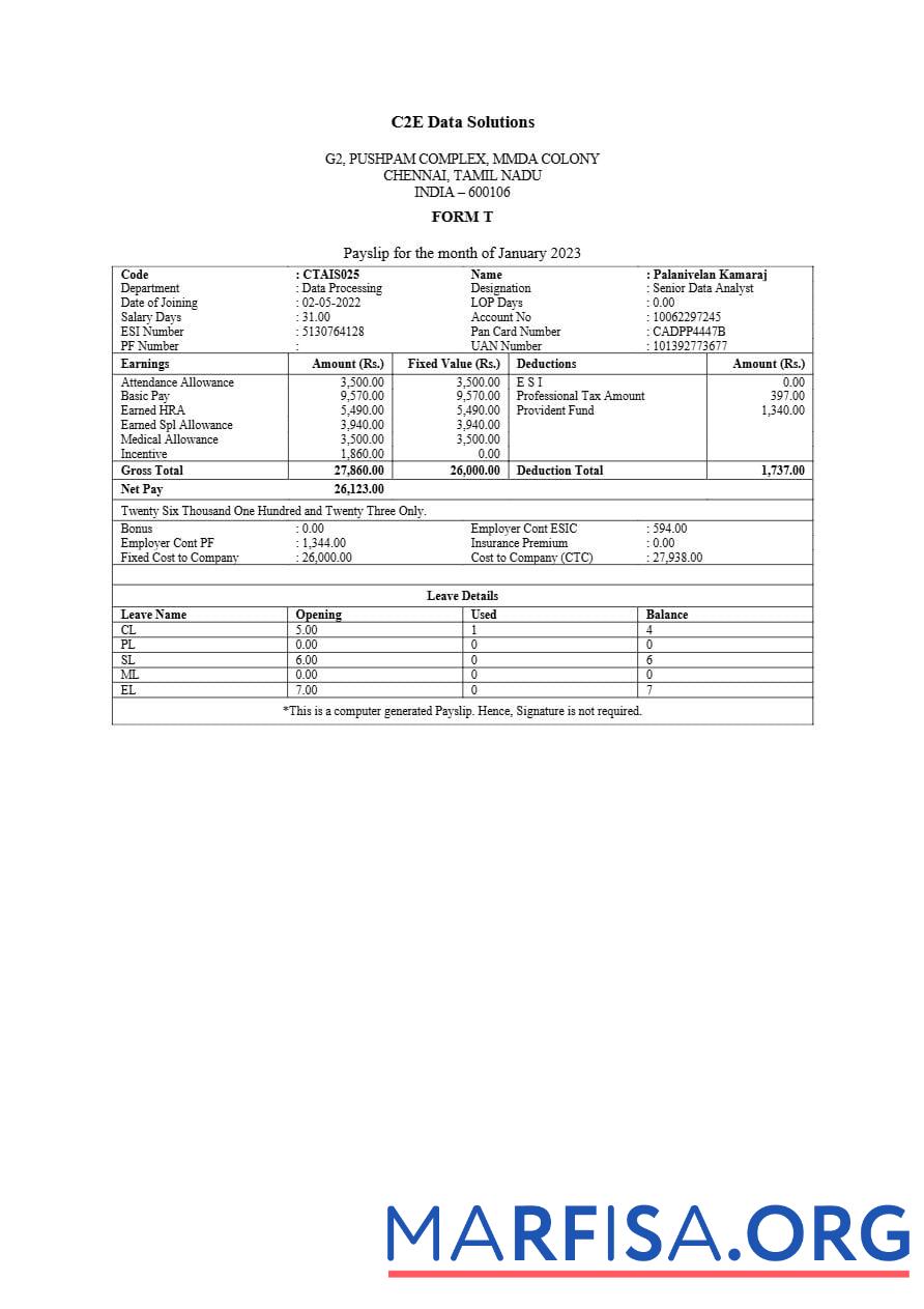 C2E Данные Solutions payslip предпросмотр