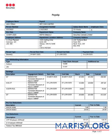 Канада Online Payslip макет
