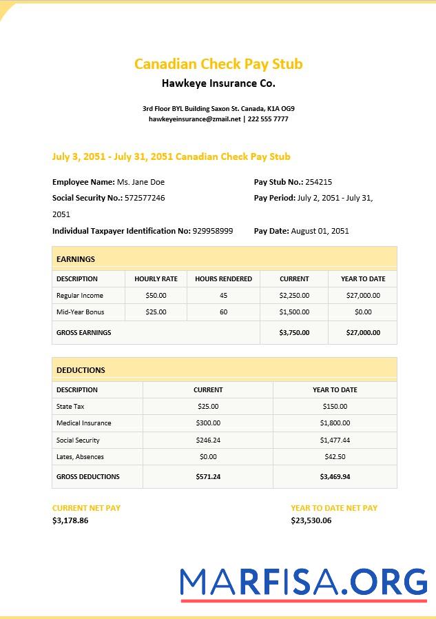 Canadian Check Pay Stub дизайн