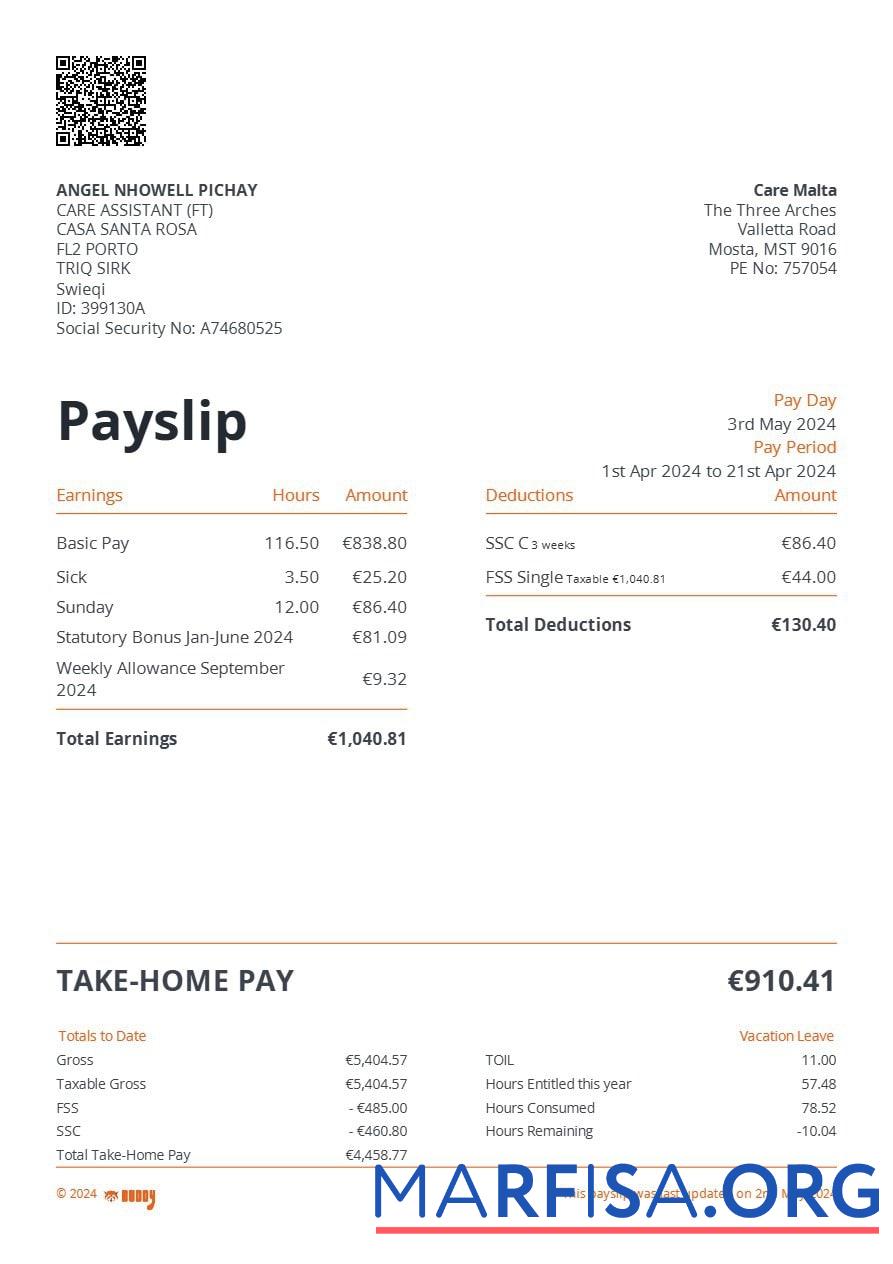 Care Мальта payslip макет