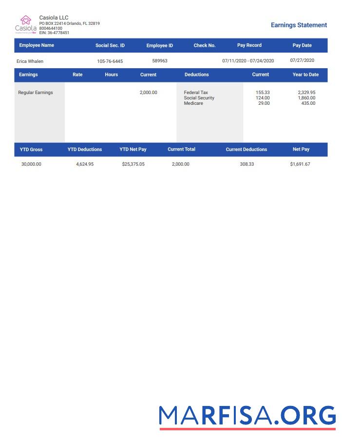 Casiola llc earnings Employee Paystub макет