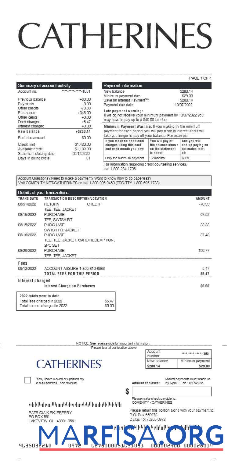 Catherines earnings Выписка из банка дизайн