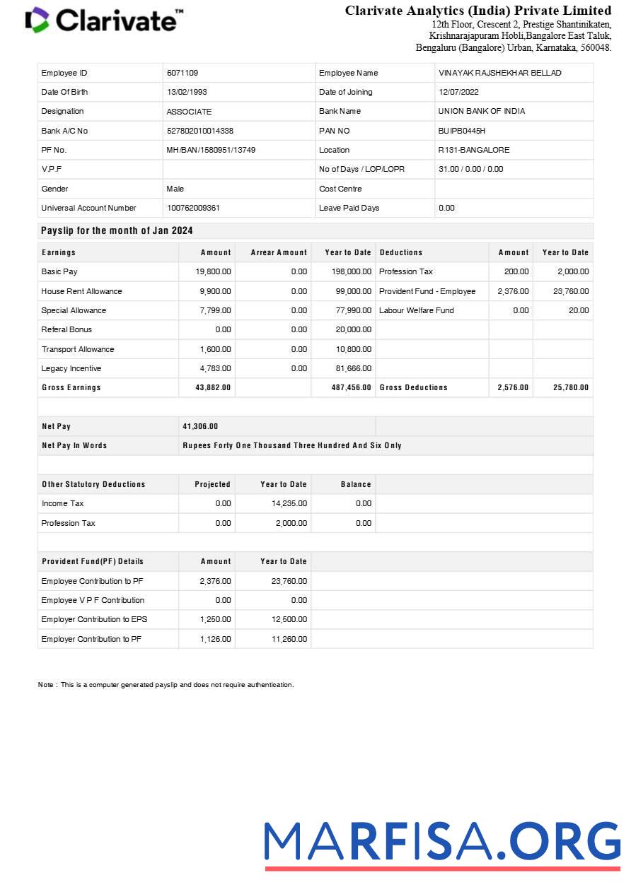 Clarivate Analytics Индия payslip образец