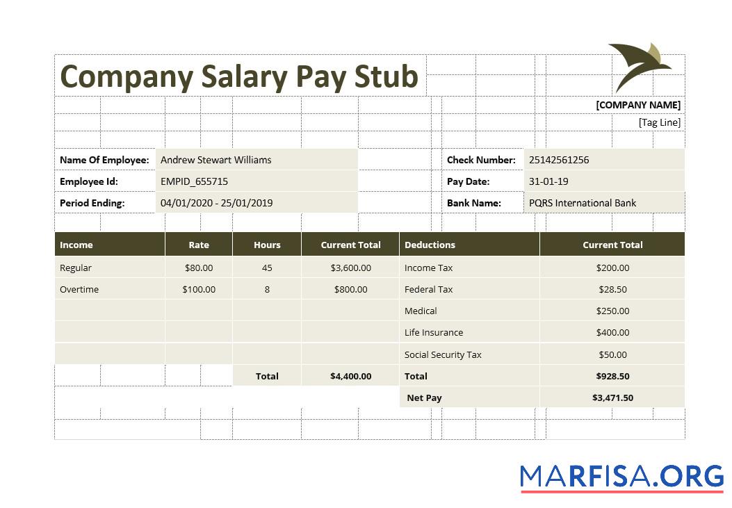 Компания Salary Pay Stub макет