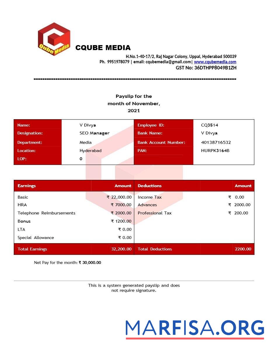 Cqube Media payslip предпросмотр