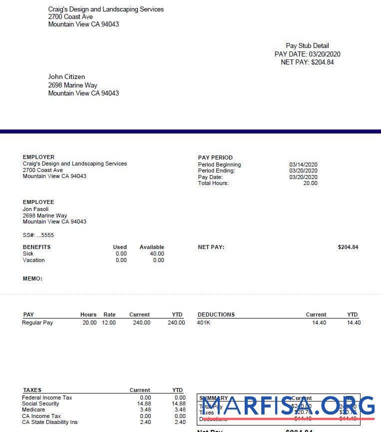 Craig's Дизайн and Landscapin Services pay stub макет