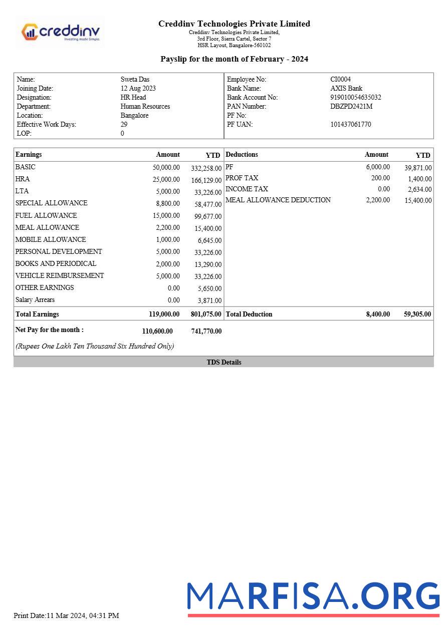 Creddinv Technologies payslip предпросмотр