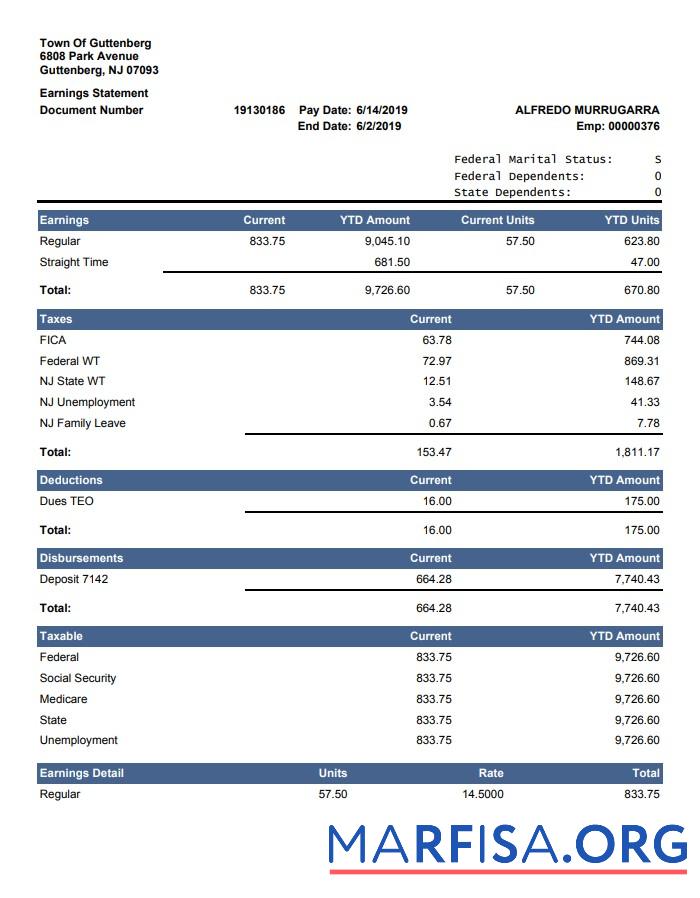 Current YTD Amount earnings Выписка из банка дизайн