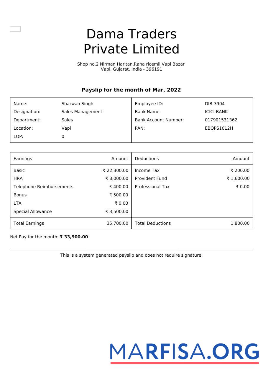 Dama Traders payslip предпросмотр