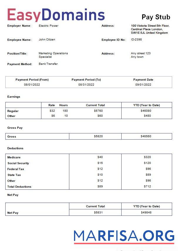 Domain name Регистрация Компания payslip шаблон
