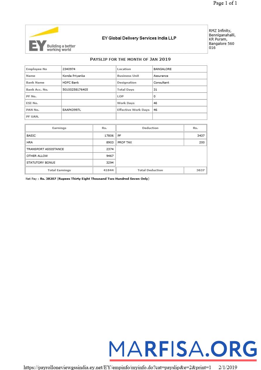 EY Global Доставка Services payslip образец