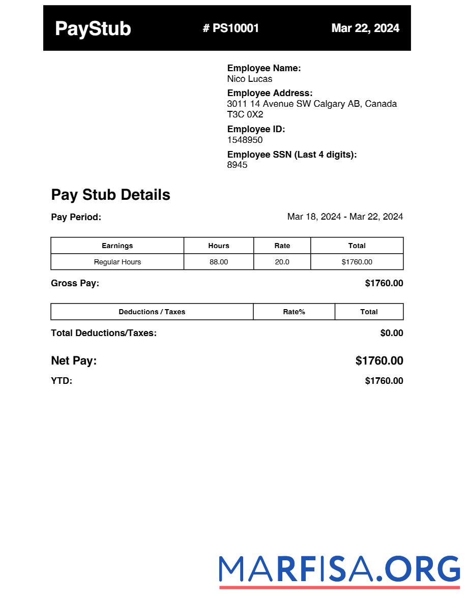 Earnings pay stub дизайн