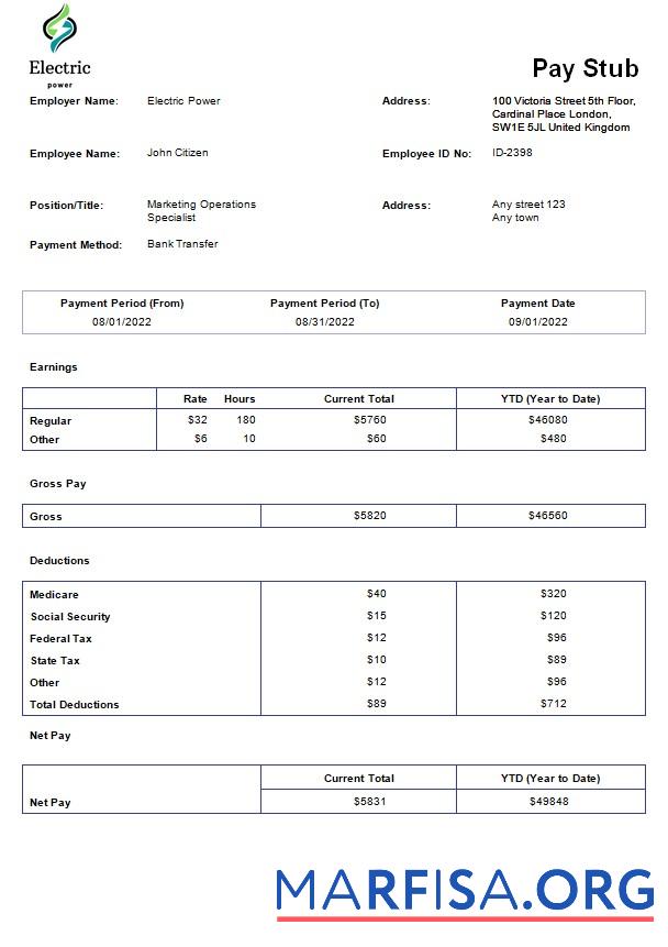 Electric power pay stub образец